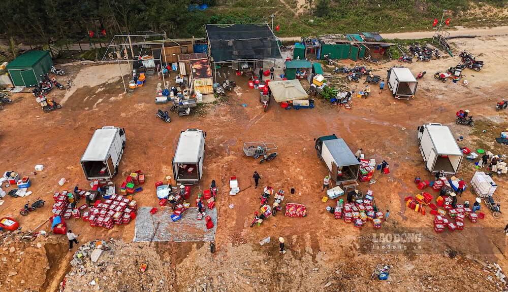 Những chiếc xe tải của thương lái chờ sẵn để tiếp nhận cá của ngư dân. Ảnh: Nguyễn Luân