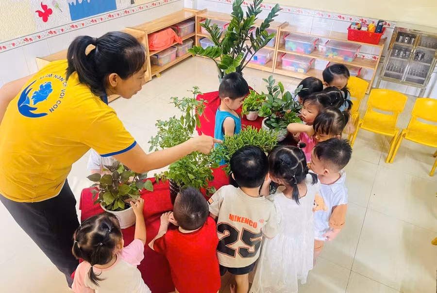 Trẻ tại Mầm non Chú Voi Con. Ảnh: NTCC