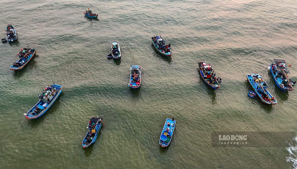 Thuyền tập trung cách bờ khá xa để tránh mắc cạn. Ảnh: Nguyễn Luân