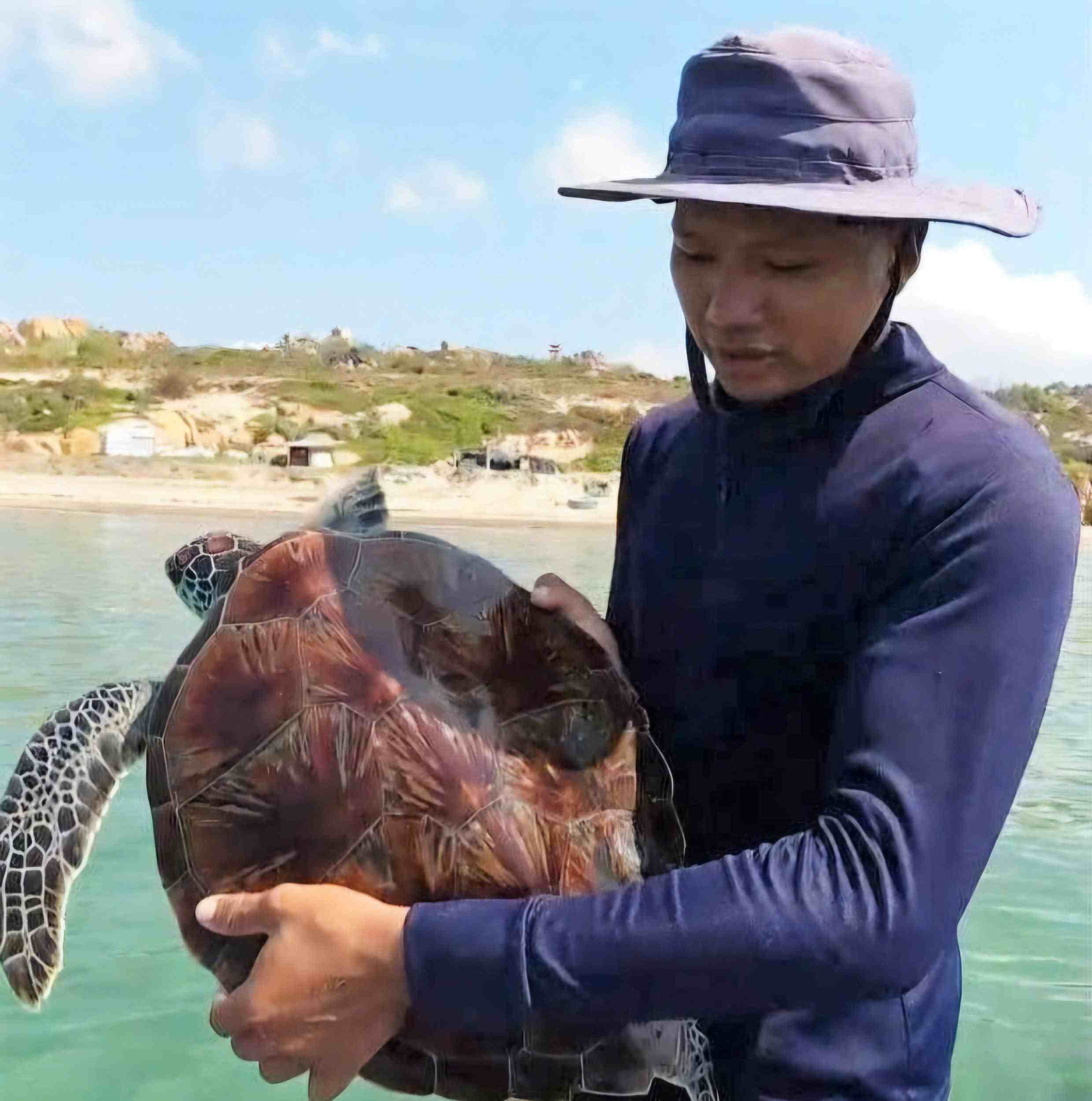 Anh Nguyễn Anh Tươi nhanh chóng thả rùa biển về môi trường tự nhiên. Ảnh: Nhân vật cung cấp