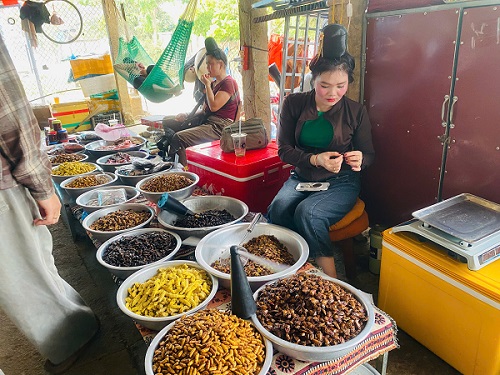 Chợ côn trùng Nà Sy có một không hai ở Sơn La