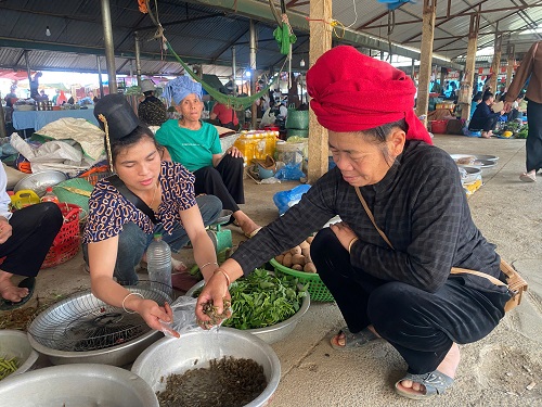 Người dân lựa chọn côn trùng. Ảnh: Trường Sơn