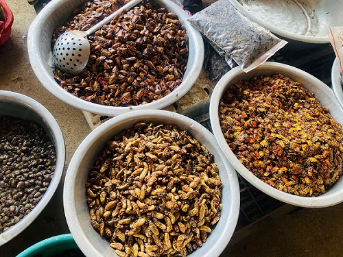 Nhiều loại côn trùng được bày bán ở chợ Nà Sy. Ảnh: Trường Sơn