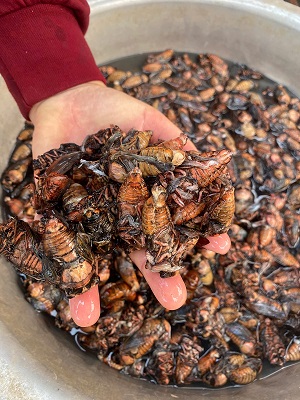 Những mặt hàng độc đáo có một không hai. Ảnh: Trường Sơn