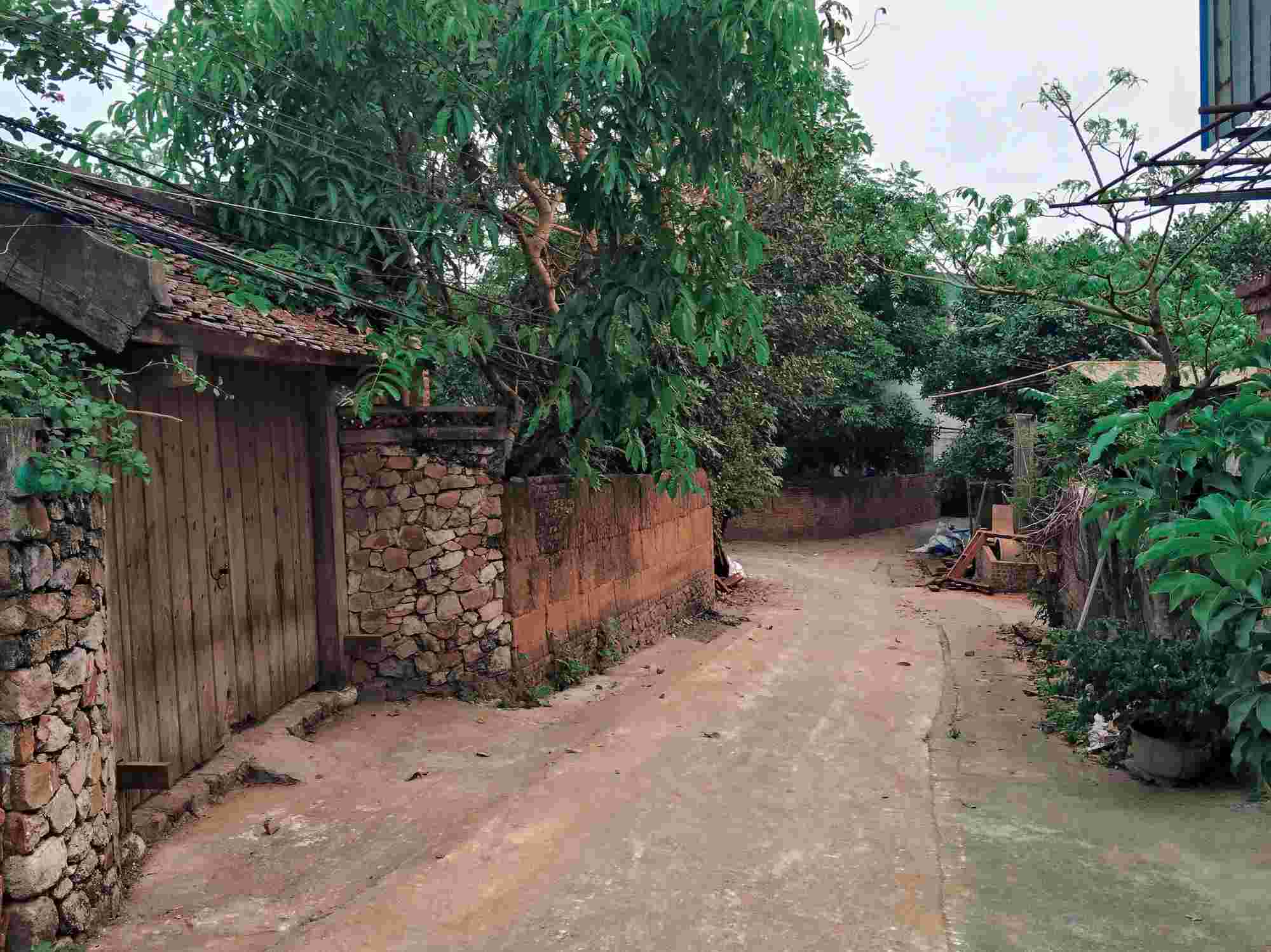 Làng Hiên Vân là một trong số ít những ngôi làng Bắc Bộ còn lưu giữ được nét cổ kính trong kiến trúc và văn hóa. Ngôi làng được biết đến với những ngôi nhà cổ có tuổi đời lên đến hàng trăm năm.