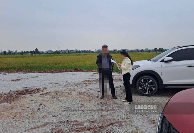 Môi giới mời chào đặt cọc giữ chỗ tại dự án bất động sản trong khi hiện trạng dự án là những cánh lúa người dân canh tác ở Tiên Du (Bắc Ninh), tháng 10.2025. Ảnh: PV
