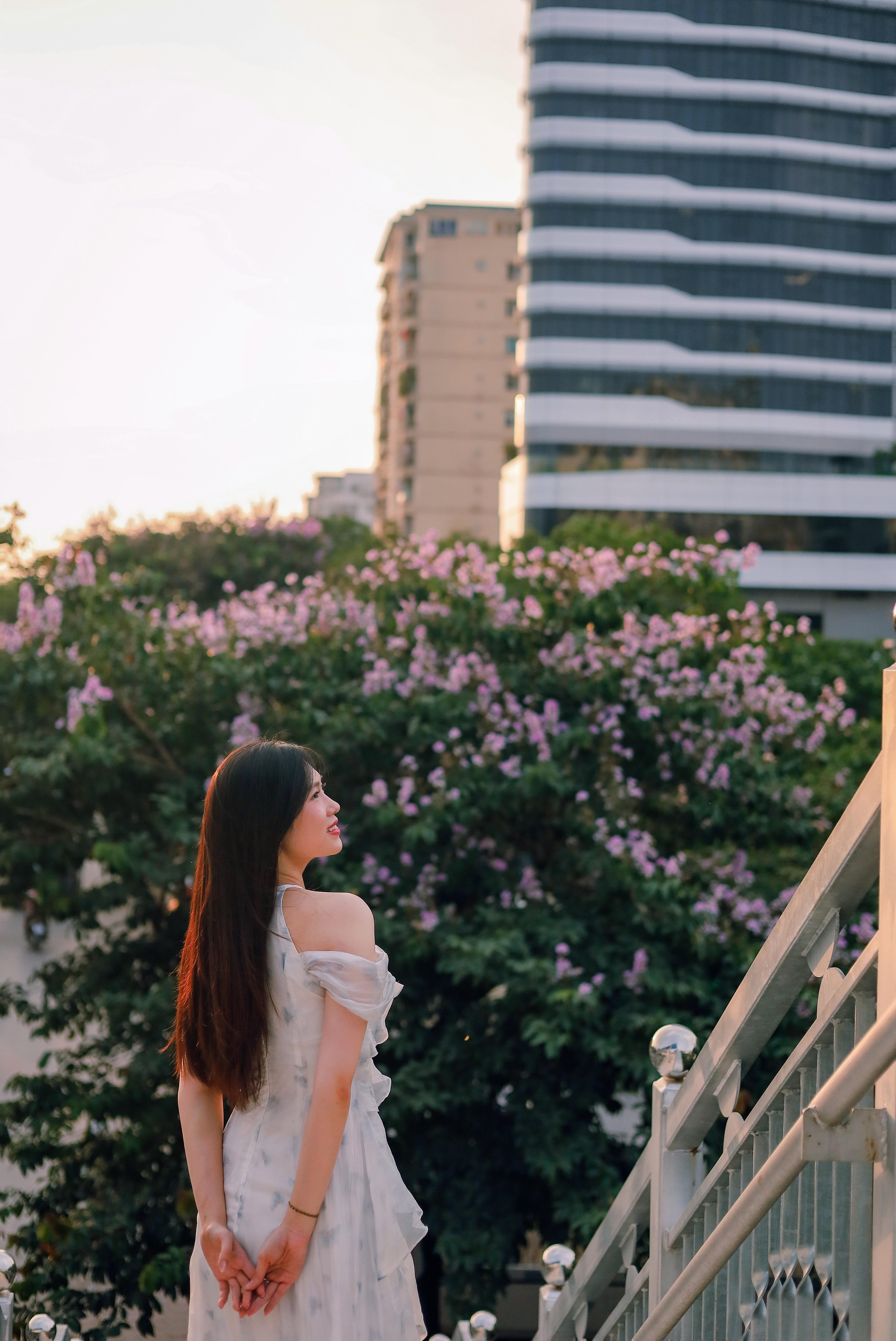 Điểm được nhiều người yêu thích nhất là cây bằng lăng nằm cạnh cầu đi bộ với tán rộng, hoa nở dày và góc chụp thoáng. Từ trên cầu, người chụp có thể ghi lại toàn cảnh sắc tím nổi bật giữa dòng xe qua lại, tạo nên khung hình đậm chất mùa hè Hà Nội.