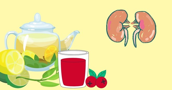 Thức uống bổ thận không thể bỏ qua trong cuộc sống hằng ngày