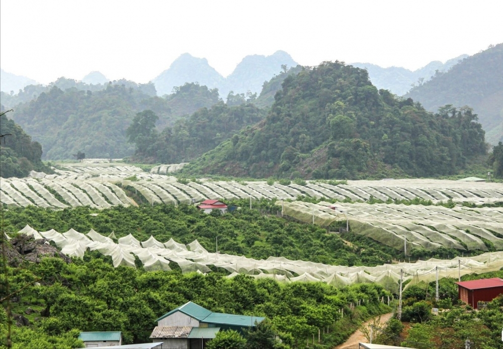 Phát huy sức dân trong xây dựng nông thôn mới tại Sơn La Phát huy sức dân trong xây dựng nông thôn mới tại Sơn La