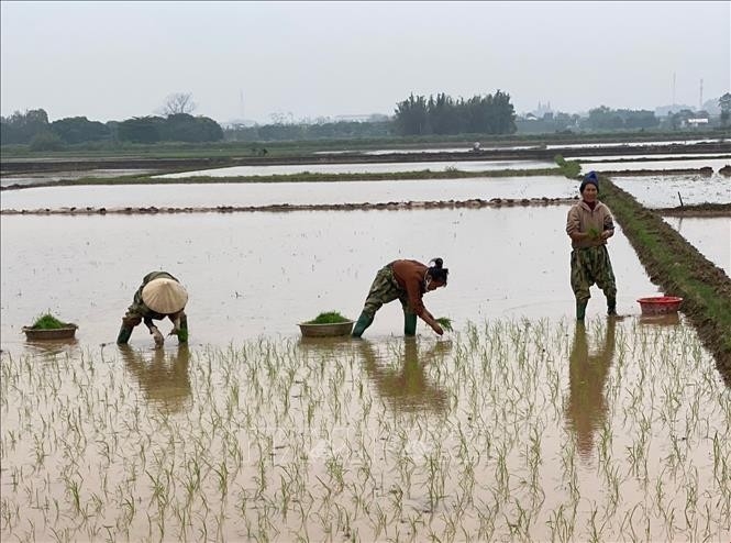 Nông nghiệp phát thải thấp mở đường nâng giá trị nông sản Việt Nông nghiệp phát thải thấp mở đường nâng giá trị nông sản Việt