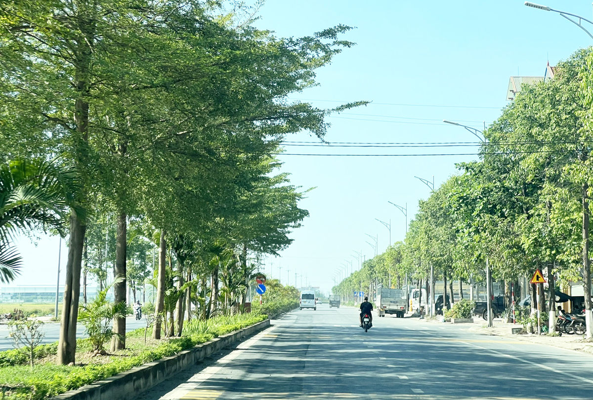 21b-1.jpg