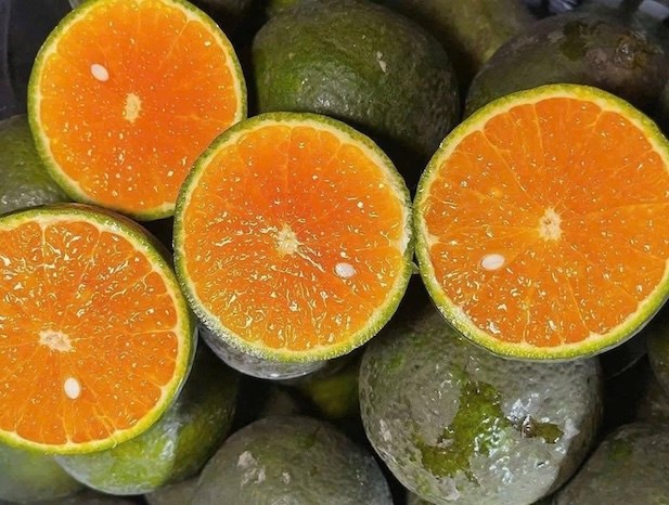 Hỗ trợ tổng hợp collagen từ hoa quả giàu vitamin C mà không ảnh hưởng dạ dày