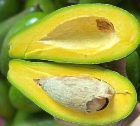 Quả bơ  - loại trái cây hỗ trợ giảm cân - nên ăn tươi hay làm sinh tố