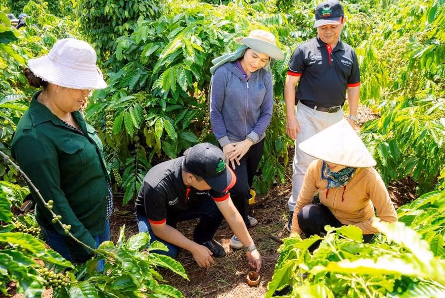 Cán bộ kỹ thuật NESCAFÉ Plan hướng dẫn nông dân thực hành cải tạo đất tại vườn cà phê – một trong ba nhóm thực hành cốt lõi của mô hình nông nghiệp tái sinh. Cán bộ kỹ thuật NESCAFÉ Plan hướng dẫn nông dân thực hành cải tạo đất tại vườn cà phê – một trong ba nhóm thực hành cốt lõi của mô hình nông nghiệp tái sinh.