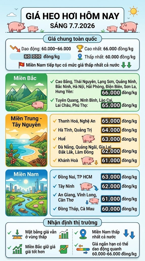 Giá heo hơi hôm nay 7.7: Thị trường vẫn neo ở vùng giá thấp - ảnh 3