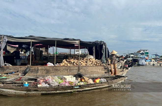 Thương hồ thức từ 3 giờ sáng mưu sinh, lo chợ nổi Cái Răng mai một