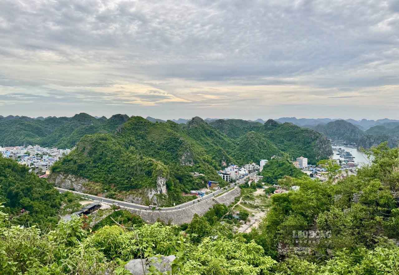 Con đường ra bến Cái Bèo. Ảnh: Linh Boo