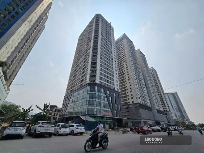 Dự báo giá chung cư tiếp tục tăng trong giai đoạn 2026-2027