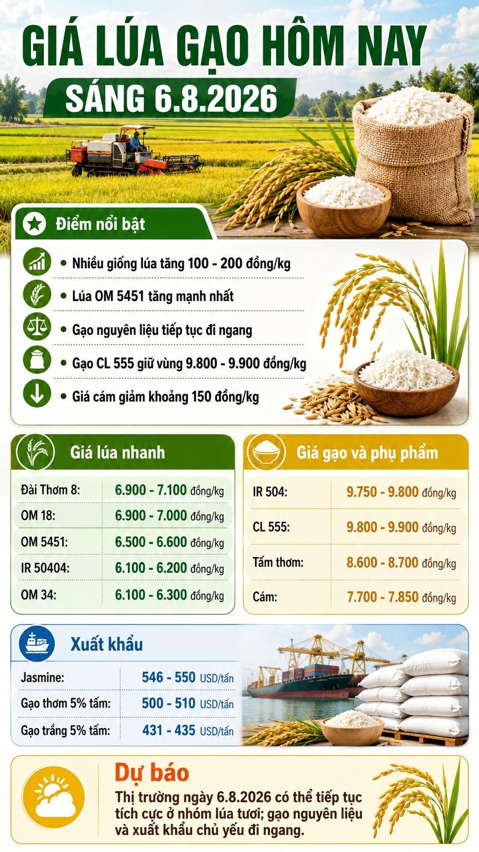 Giá lúa gạo hôm nay 6.8.2026: Lúa tăng tới 200 đồng/kg - ảnh 3
