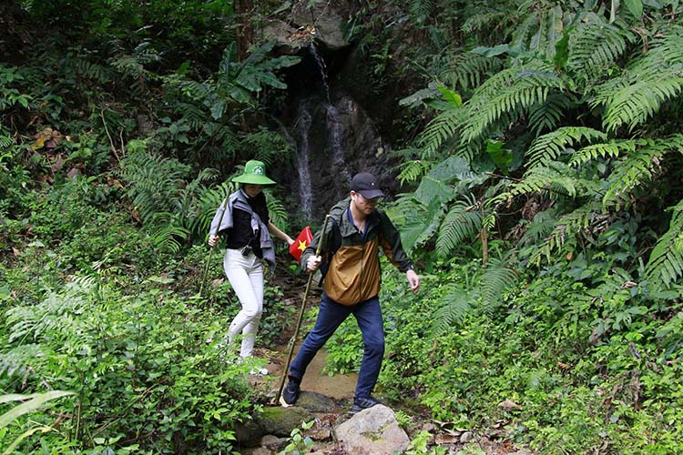 Để lên được đỉnh núi, hiện du khách phải vượt 9km đường rừng lên Đài quan sát. Ảnh: Sở Văn hóa, Thể thao và Du lịch