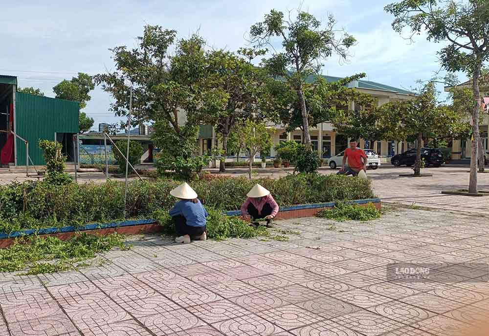 Các giáo viên Trường Tiểu học Đỉnh Bàn cắt cỏ ở sân trường. Ảnh: Trần Tuấn