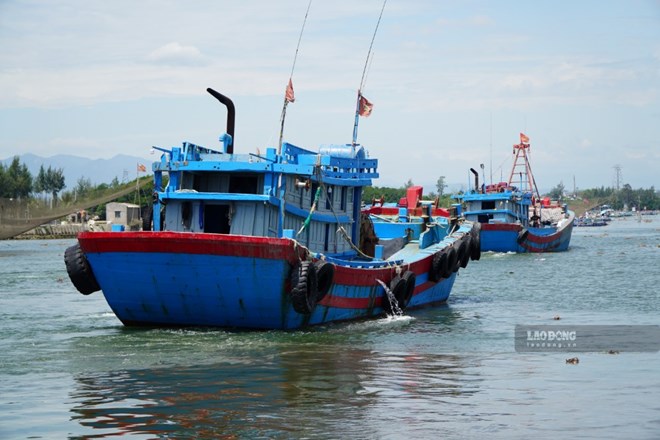 Dịp Quốc khánh 2.9, ngư dân Quảng Ngãi vẫn tất bật vươn khơi