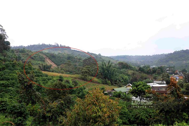 Nứt đồi kéo dài 300m, xã Quảng Sơn ở Lâm Đồng di dời 78 hộ dân