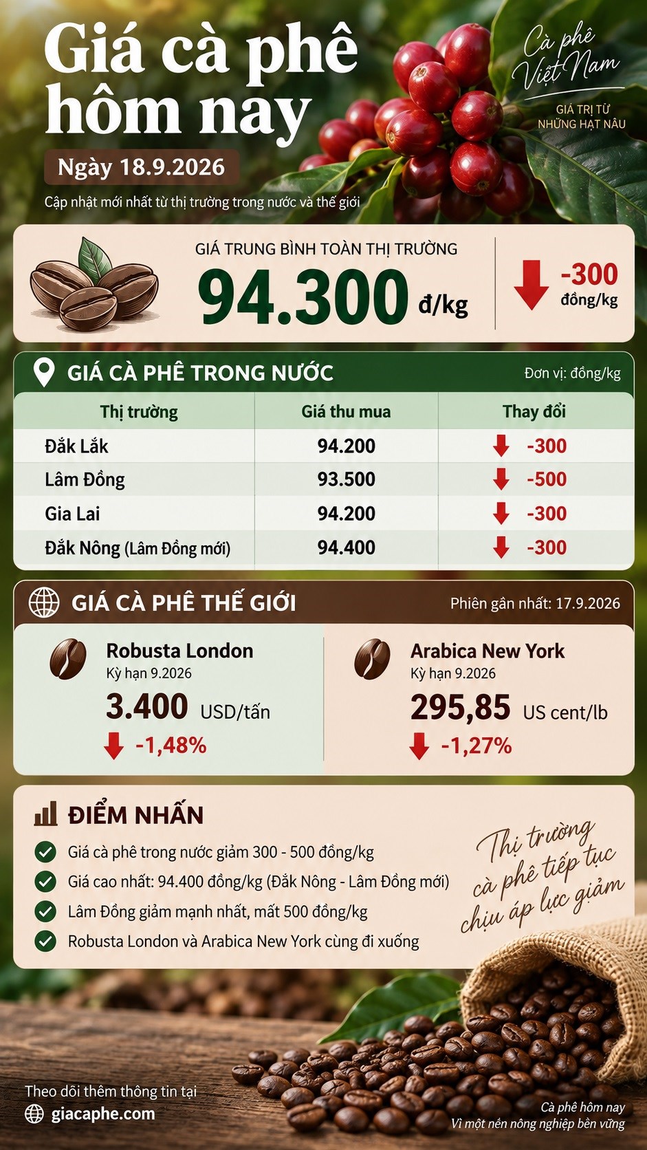 Giá cà phê hôm nay 18.9.2026 giảm nhẹ, cao nhất còn 94.400 đồng/kg - ảnh 3