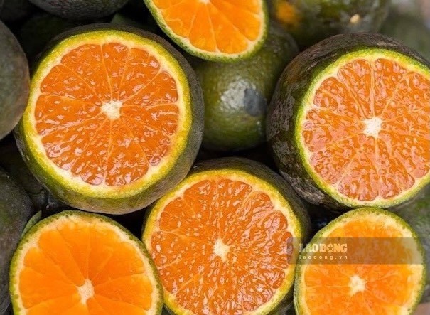 2 loại trái cây có múi tốt cho mắt