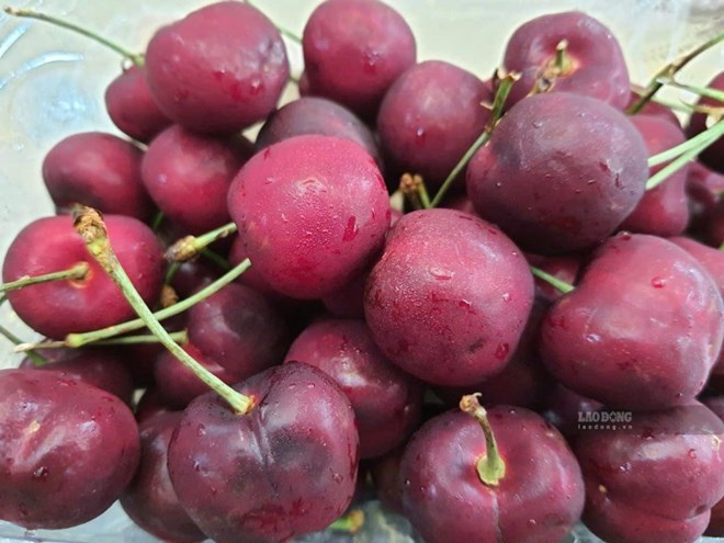 Loại quả hỗ trợ hạ axit uric và kiểm soát đường huyết