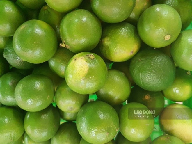 Thức uống hỗ trợ giảm cân tốt nhất
