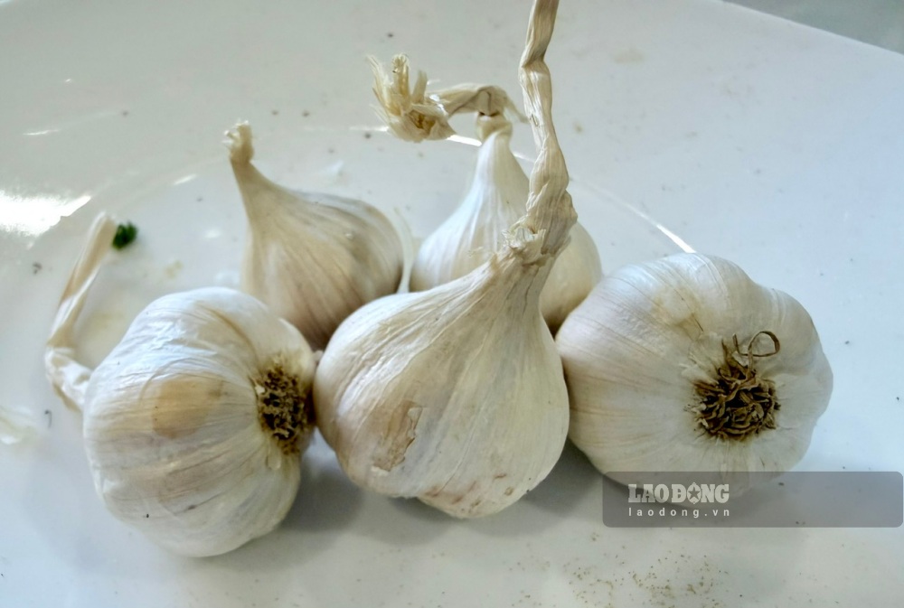 Bổ sung tỏi vào thực đơn hàng ngày là một liệu pháp tự nhiên an toàn giúp hỗ trợ giãn nở mạch máu và kiểm soát huyết áp hiệu quả ở người cao huyết áp. Ảnh: Trà My