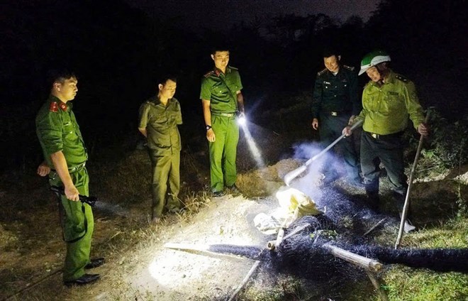 Tiêu hủy hàng nghìn mét vuông lưới bẫy chim trời ở Lào Cai